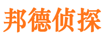 西林市调查公司